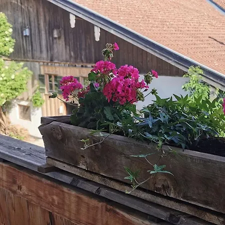Hills Appaloosa Ranch דירה Waakirchen