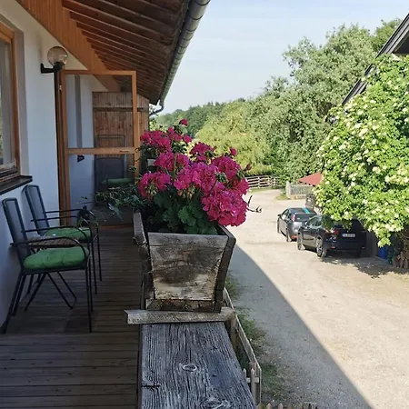 公寓 Hills Appaloosa Ranch Waakirchen